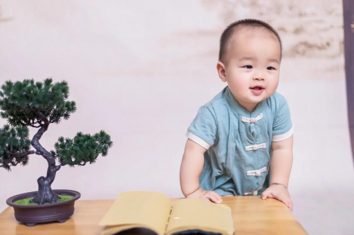临沂可爱的企鹅宝宝